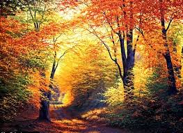 Automne